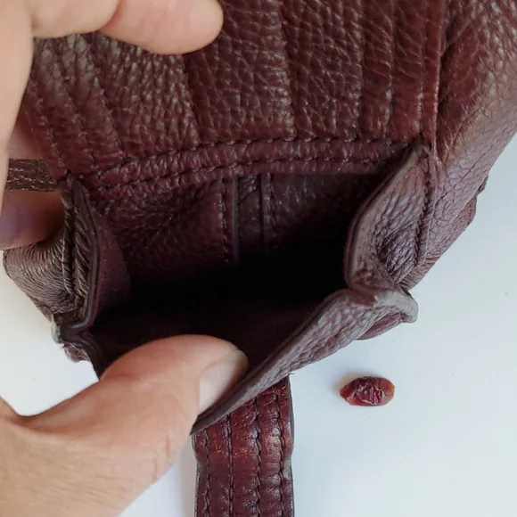 Banana Republic Bloomsbury Hobo Purse - Picture 6 of 16